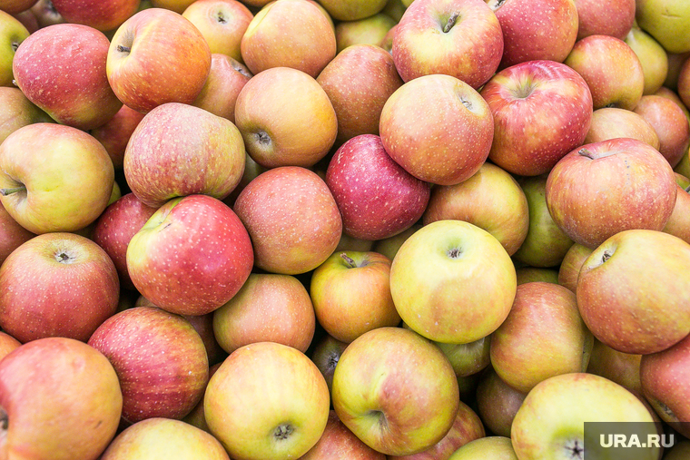 Продукты, овощи и фрукты. Тюмень, торговля, фрукты, яблоки