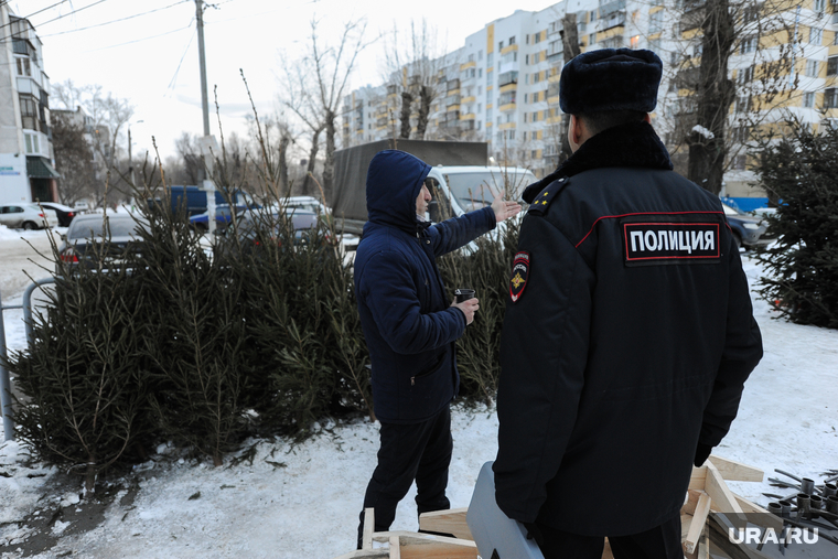Рейд по местам несанкционированной торговли елками. Челябинск, елки, полиция, елочный базар, торговля елками