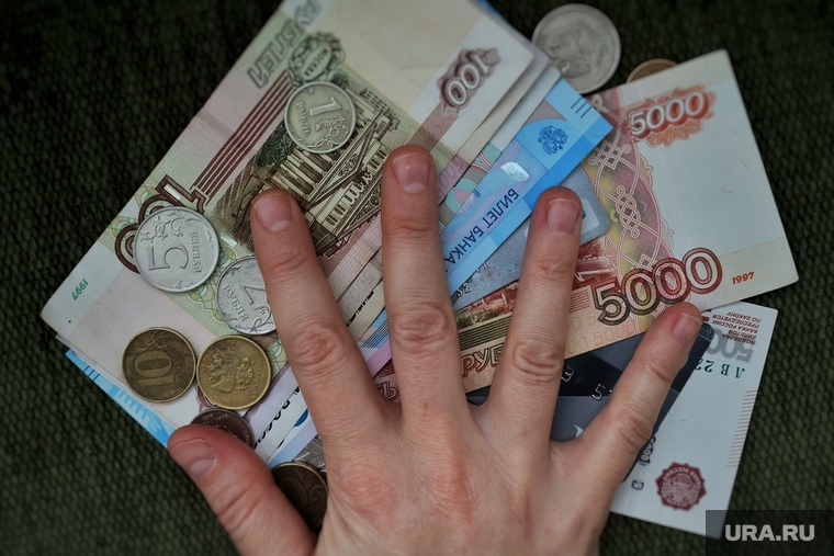 Деньги. Курган, зарплата, купюра, пять тысяч, банкнота, деньги, наличные, зп