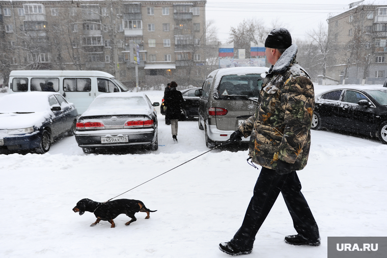 Снегопад. Уборка города. Челябинск., собака, зима, прогулка с собакой, такса