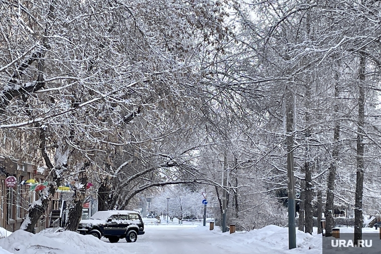 1 января. Челябинск, аллея, холод, зима, погода, деревья в снегу, виды города, мороз
