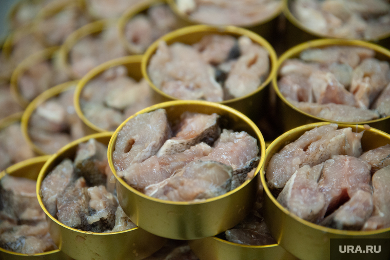 Производство рыбных консерв. Салехард, продукты, питание, консервная банка