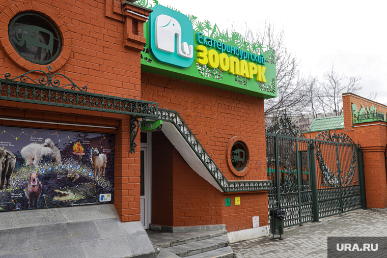 Стрит-арт "Умка" на стене зоопарка. Екатеринбург, зоопарк, стрит арт