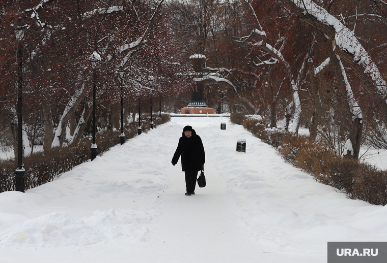 Виды города. Екатеринбург, снег, зима, дендропарк