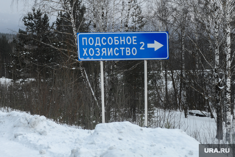 Выездное
заседание экспертного совета по вопросам деятельности СМИ и двух 
комитетов Законодательного Собрания в Саткинский муниципальный район. Сатка., знак, подсобное хозяйство