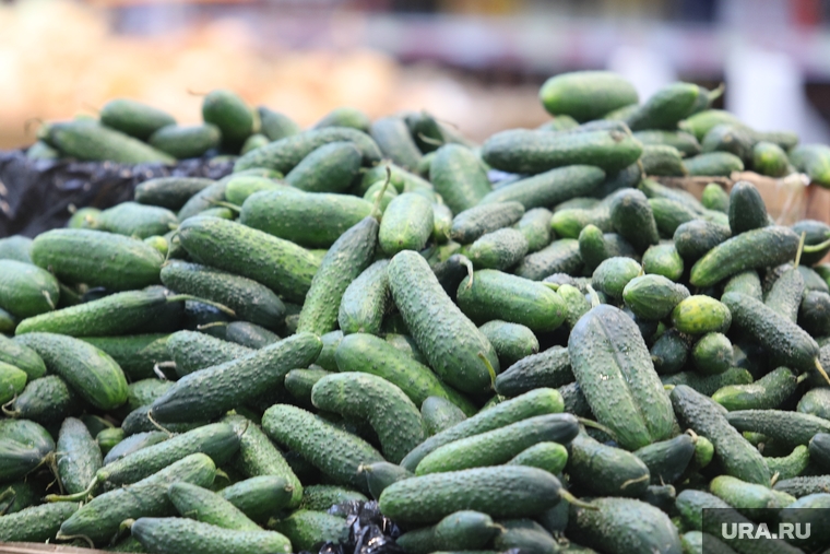 Магазин Метрополис. Курган , торговля, продукты, огурцы, опт, розница, оптовая