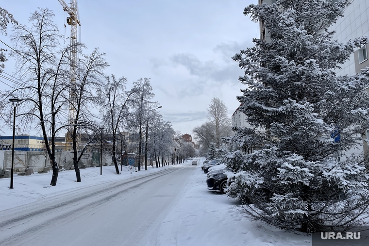 1 января. Челябинск, холод, зима, погода, деревья в снегу, виды города, мороз