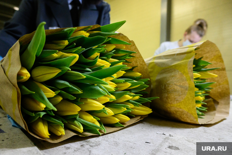 Цветы к 8 марта в аэропорту Кольцово. Екатеринбург, тюльпан, тюльпаны, букет, цветы