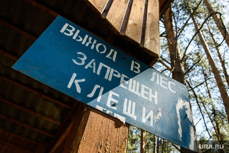Детский лагерь "Маяк" перед летней сменой. Свердловская область, Сысерть, клещи, отдых горожан, летний сезон, выход в лес, отдых на урале