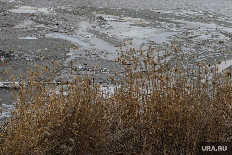Река Тобол на территории дачного кооператива КМЗ. Курган, камыш, река кама, лед в воде, лед