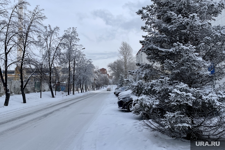 1 января. Челябинск, холод, зима, погода, деревья в снегу, виды города, мороз