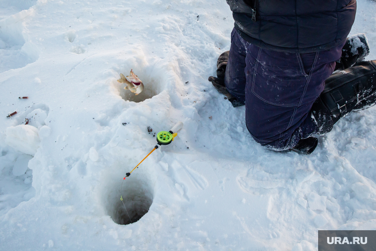 Ловля на зимнюю удочку зимой видео | Рыбалка в зимнее время