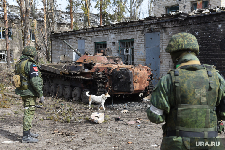 Волноваха после освобождения. ДНР, Волноваха, собака, армия, днр, бмд, военная полиция, зачистка, фронт, боевые действия, всу, линия соприкосновения, комендатура, волноваха, z войска, разбитая техника, армия днр, армия украины