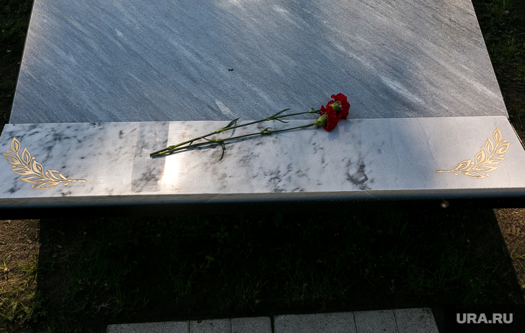 65 лет ТВВИКУ. Тюмень, гвоздики, цветы на монументе, мемориал