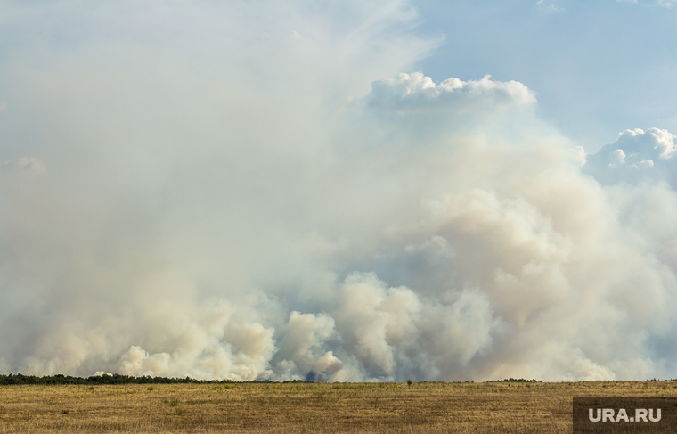 Верховые пожары в поселках Джабык и Запасное. Челябинская область, лесной пожар