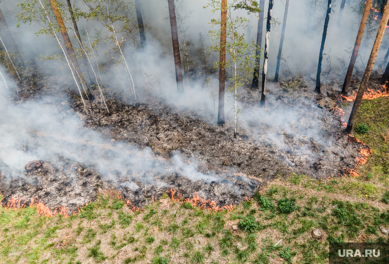 Лесной пожар на озере Глухое. Свердловская область, лес горит, лесной пожар, пожар в лесу