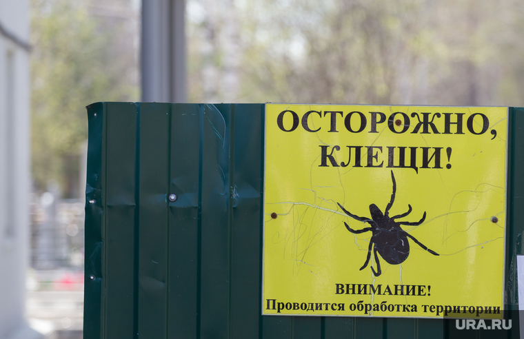 Церемония захоронения останков бойца. Екатеринбург, осторожно клещи