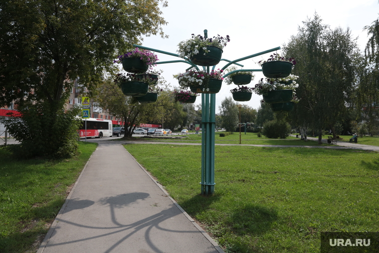 Виды города. Пермь, газон, лето, цветы в горшках, виды перми, лето в городе, вертикальное озеленение