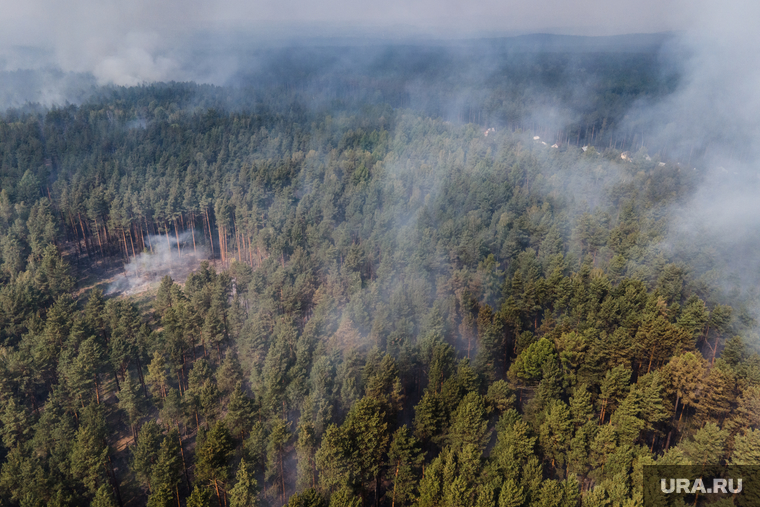 Лесной пожар на озере Глухое. Свердловская область, первоуральский городской округ, лес горит, лесной пожар, пожар в лесу