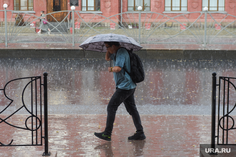 Дождь. Екатеринбург, погода, зонт, ливень, дождь, под зонтом