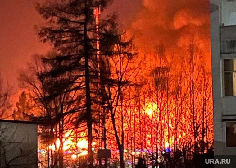 Пожар, Аша, Челябинская область, пожар, лес, огонь, возгорание, пламя