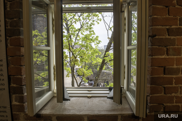 Выборг. Пермь, окно в европу, вид из окна, деревья за окном