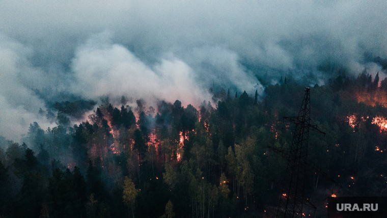 Горящий лес возле горы Волчиха. Свердловская область , лэп, лесной пожар, пожар в лесу, дым от пожара, пожар на волчихе