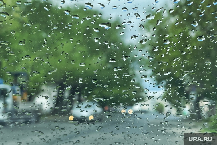 Дождь. Курган , непогода, плохая видимость, ливень, дождь