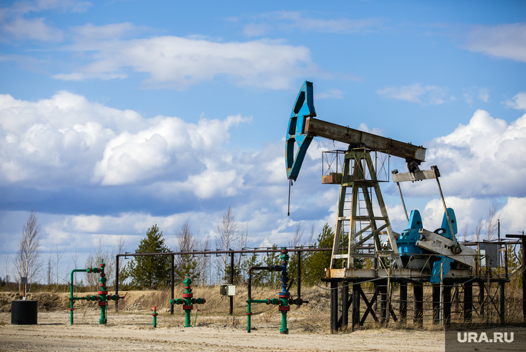Качалки. Сургут, газ, газпром, топливо, роснефть, качалка, экономика, нефть, месторождение, нефтедобыча, добыча нефти, природные ресурсы, лукоил, сургутнефтегаз, куст нефтегазовый, цены на нефть