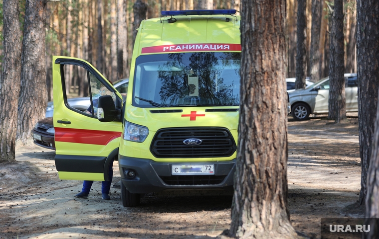 Водоросли на пляже Голубые озера. Курган , реанимация, скорая помощь