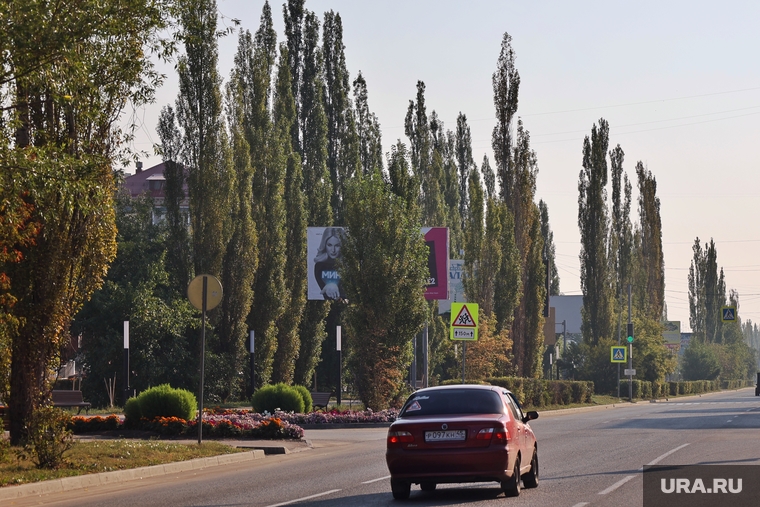 Город Шадринск. Курган, шадринск, город шадринск, пирамидальные тополя