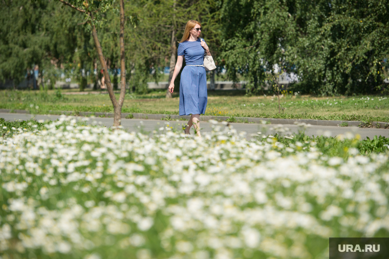 Жара в Екатеринбурге, аллея, тепло, поляна, лето, жара