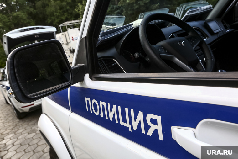 Семинар-совещание и заседание Государственного Совета в "Мастерской управления Сенеж". Москва, полицейская машина, полиция