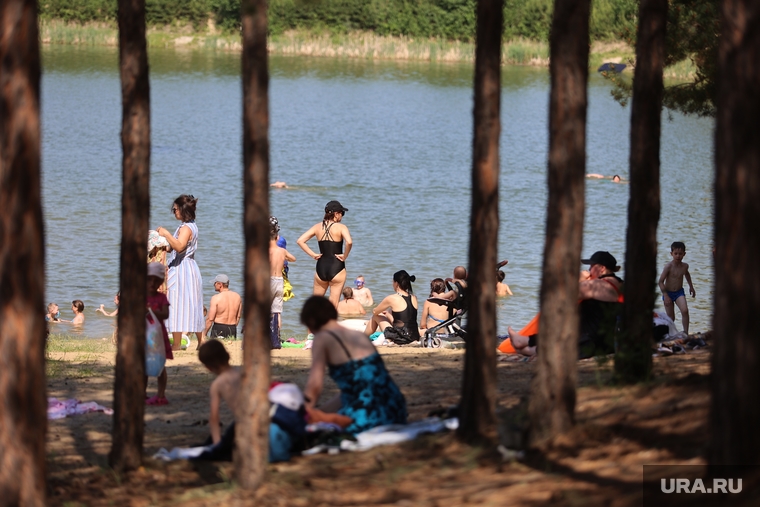 Водоросли на пляже Голубые озера. Курган , пляж, голубые озера, озеро, отдых, водоем