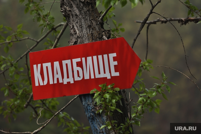 Кладбище в посёлке Чистопрудное. Курган, кладбище, последствие пожара, сгоревшее кладбище
