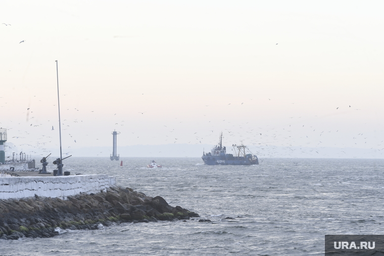 Военно морской флот. архив. Пермь
