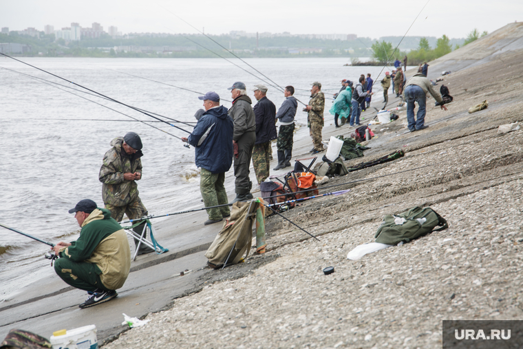 Река Цна Московской области: рыбалка, отзывы, места для катушек