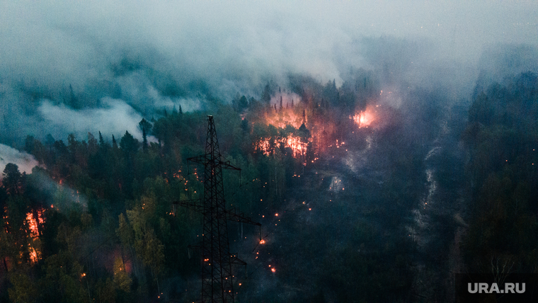 Горящий лес возле горы Волчиха. Свердловская область , лэп, лесной пожар, пожар в лесу, дым от пожара, пожар на волчихе