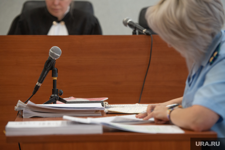 Судебное заседание по делу фонда "Содействие XXI век" Елены Лопаевой и Елены Найдановой. Пермь , судебное заседание, суд
