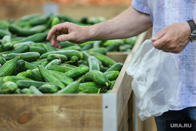 Торговая сеть «Метрополис». Курган, овощи, продукты, огурцы, корзина с продуктами, магазин