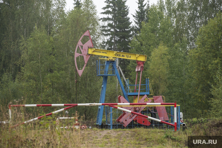 Нефтяное месторождение компании Лукойл. Красновишерский район, Пермский край, лукойл, качалка, нефть, нефтяное месторождение, цднг 11, поселок романово, красновишерский район, нефтепромысел