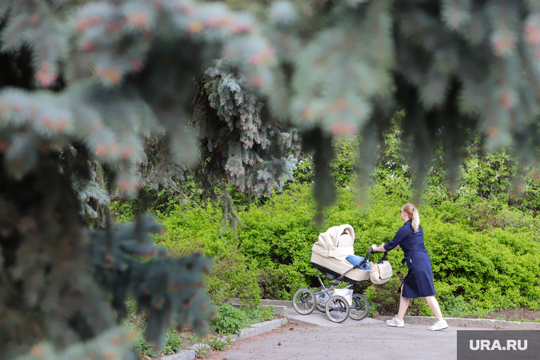 Ботанический сад. Екатеринбург, коляска детская, ботанический сад