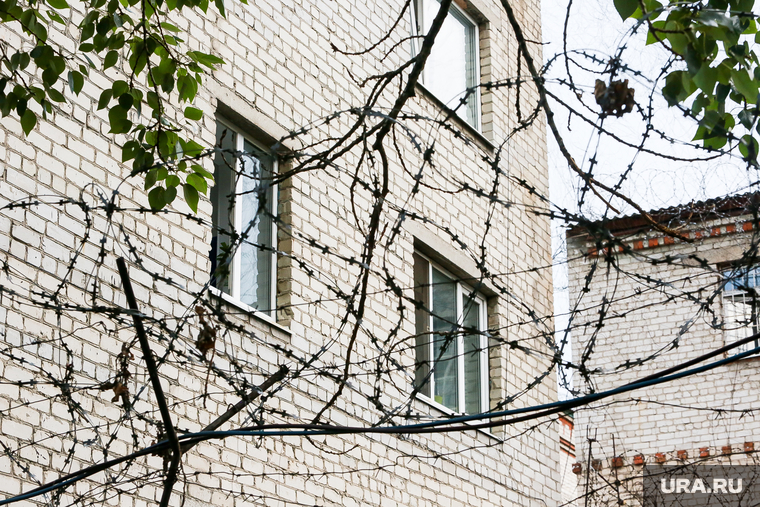 Клипарт Тюрьма. Тюмень, колючая проволока, колония, тюрьма