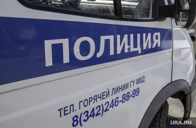 Автомобильная кража. Пермь, дежурная часть, место происшествия, автомобиль полиции, следственно оперативная группа
