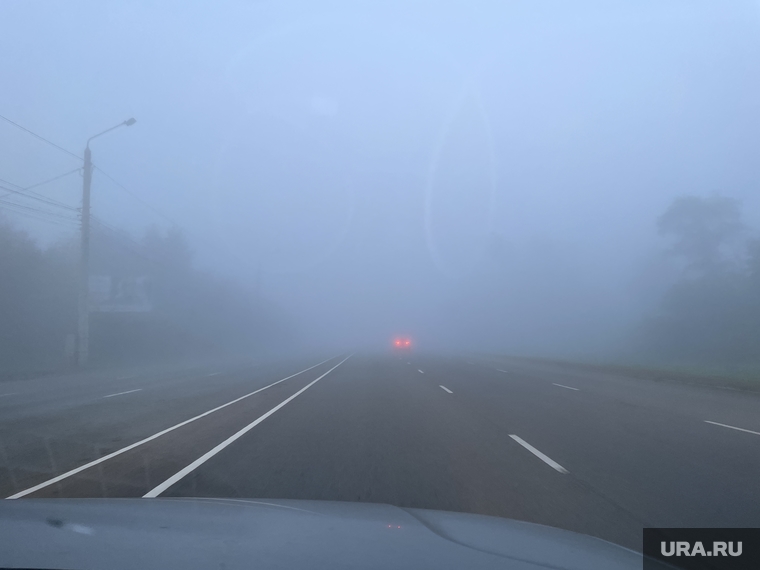 Туман на автодороге М5. Челябинск, трасса, м5, дорога, туман, метеоусловия, м-5
