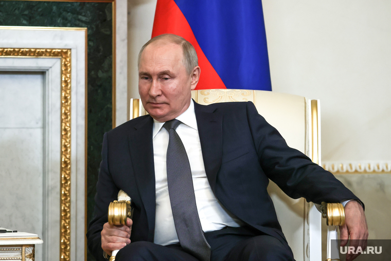 Президент России Владимир Путин на встрече с президентом Египта Абдул-Фаттахом Халилом Ас-Сиси, путин владимир