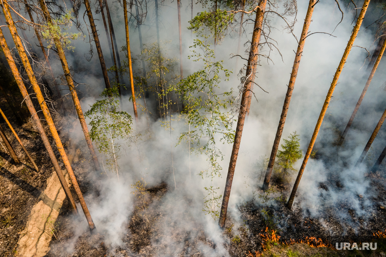Лесной пожар на озере Глухое. Свердловская область, лес горит, лесной пожар, пожар в лесу, низовой пожар