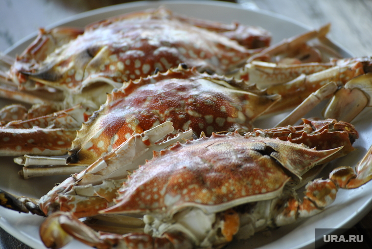 Таиланд, морепродукты, лобстер, краб, деликатес, еда