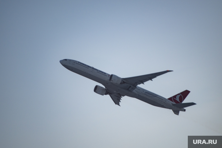 Аэропорт Внуково. Пермь, turkish airlines, взлет самолета, авиация, самолет, авиасообщение, международны, магистральный авиалайнер