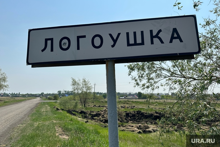 Деревня Логоушка. Курган, логоушка